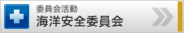 委員会活動 海洋安全委員会