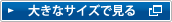 大きなサイズで見る