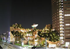 夜景
