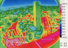 屋上緑化による熱環境の改善