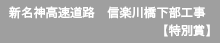 県単道路改良（幹線）工事（蔵玉隧道・拡幅工）　 【特別賞】