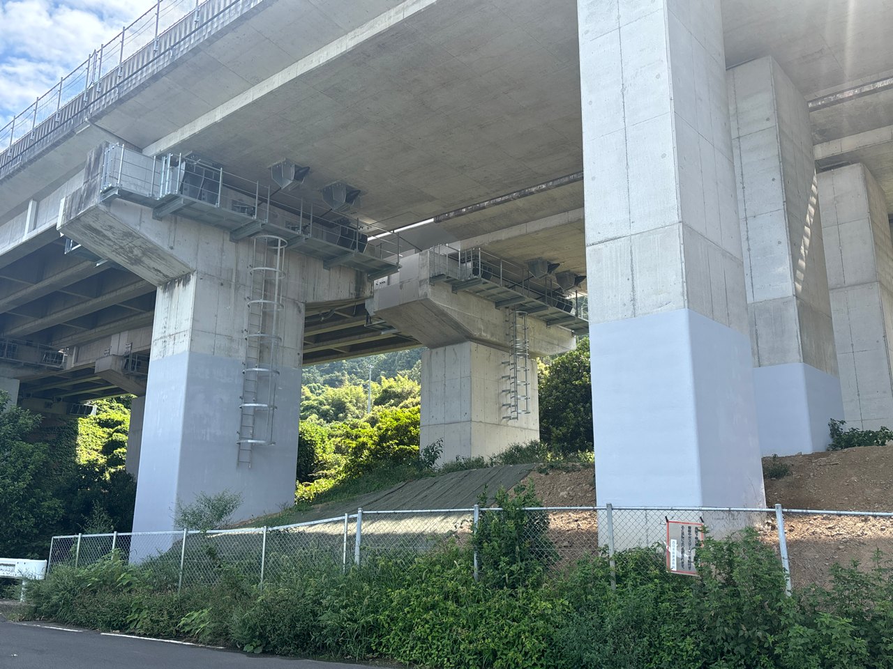 記事イメージ