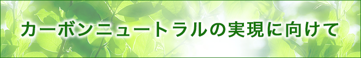 カーボンニュートラルの実現に向けて