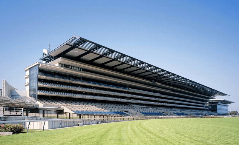 東京競馬場70年史 日本中央競馬会 東京競馬場 東京競馬場70年史 日本中央競馬会 東京競馬場
