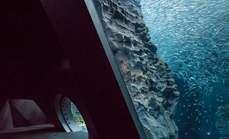 上越市立水族博物館 うみがたり | BCS賞 | 日本建設業連合会
