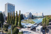 早稲田大学３７号館 早稲田アリーナ