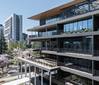 青山学院大学　マクレイ記念館