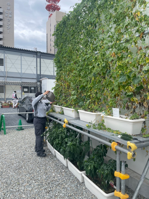 梅こまち [けんせつ小町工事チーム] - けんせつ小町 | 日本建設業連合会