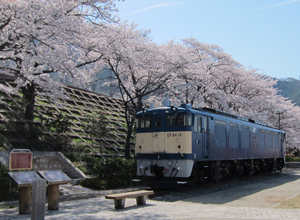 電気機関車ＥＦ６４１８　大日影トンネル遊歩道までの道すがら