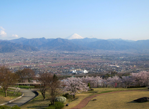 桃色に染まる甲府盆地