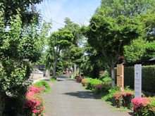 盆栽町の風景