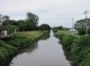 通船堀を東から西へ3 排水路となった芝川