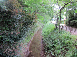 通船堀を東から西へ４　通船堀の西側水路の現状