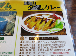 浦山ダムカレーの諸元