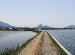 宝幢寺池