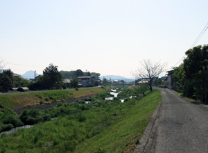 満濃池から流れ出る金倉川