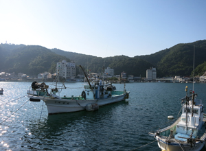 美保関町の漁港