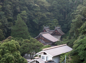 俯瞰した美保神社　大社造りが二棟並ぶ特殊な「比翼大社造」