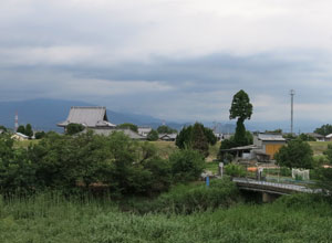 写真３　杭瀬川の高い土手から成願寺（写真中央左）をみる。