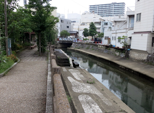 新大橋交差点付近の水門川