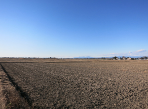 広大な土の風景となる