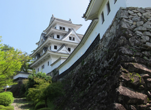 郡上八幡城の模擬天守