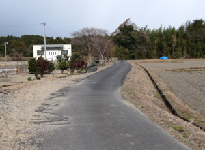 女人堤防は芥川まで続いているが・・