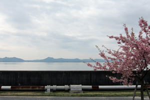 庄内川の合流点をすぎ河幅が広くなってきた