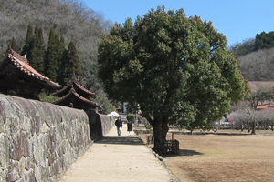 「二の荒手」の左岸側に設けられた導流堤